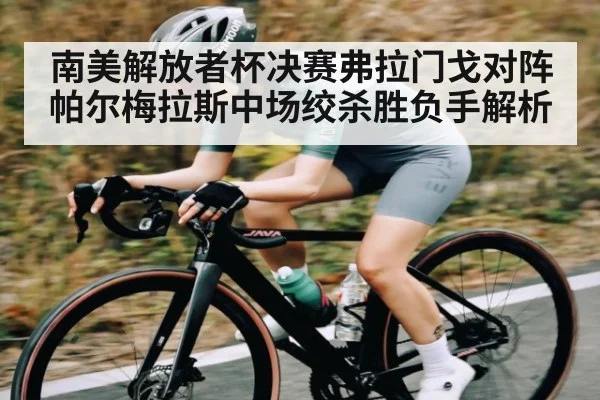 南美解放者杯决赛弗拉门戈对阵帕尔梅拉斯中场绞杀胜负手解析